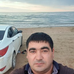 ���� �����, ������, 43 ���� - ��������� 3 ������ 2024