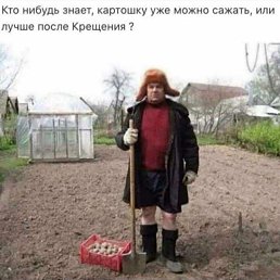 ���� ���������, ����, 53 ���� - ��������� 20 ������ 2025