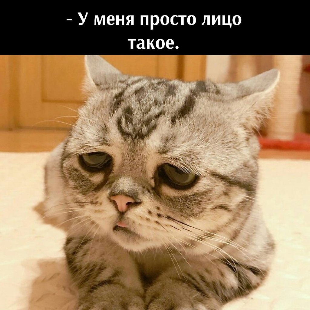       - 29  2025  10:38 - 3