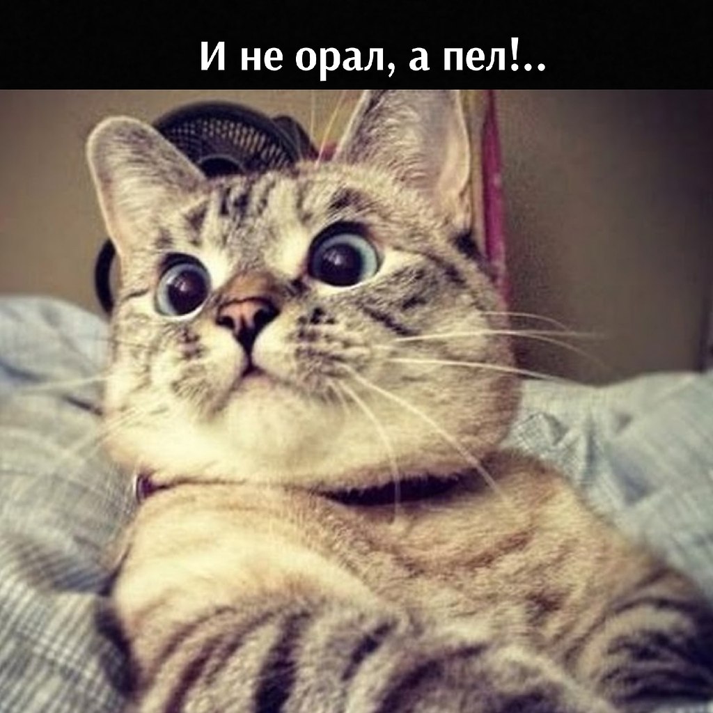 , ,    ,    ))) - 4