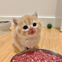 ���� ���������, ������, 24 ���� - ��������� 13 ������� 2024 � ������ ���� ����������