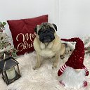 ���� �����, �����-���������, 65 ��� - ��������� 8 ������� 2023 � ������ ���������