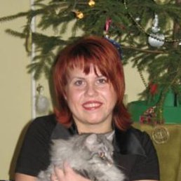 ����, ������, 49 ���