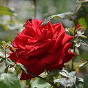 ���� Aleksandr, �����������, 64 ���� - ��������� 3 ���� 2025 � ������ ������ ��������