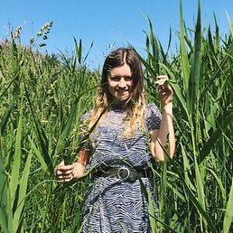 ���������, ������ ��������, 31 ���