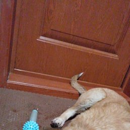 �����, ������, 39 ���