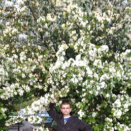 �����, �������, 42 ����