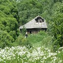 ���� ���������, �����, 55 ��� - ��������� 8 ����� 2025 � ������ ���� ���������� �����