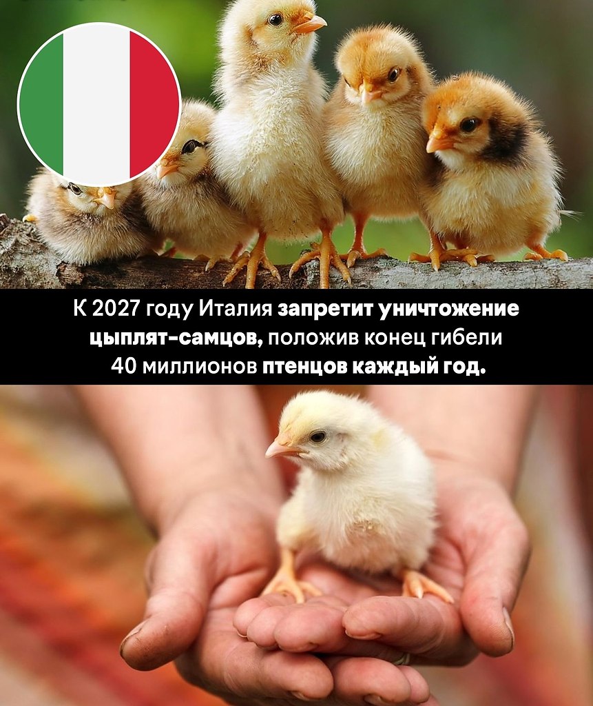 � �� ����� ��� ��������� ����� ������� ���������� �����������, �� ������ �������� �������, ��������� ... - 6