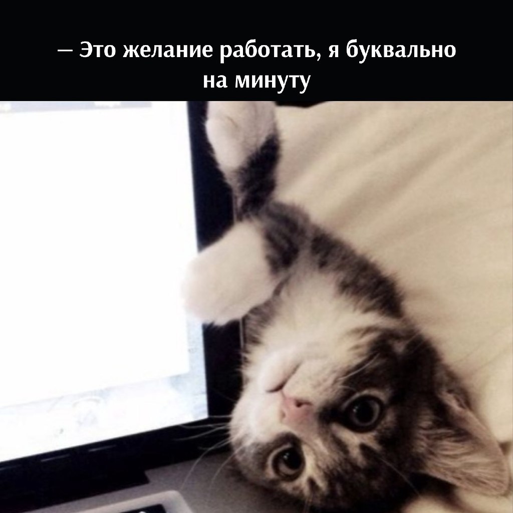 ��� ���� � ����� �� �� - 6 ���� 2026 � 11:02 - 3