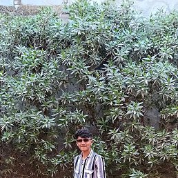 Arsh, ����, 18 ���