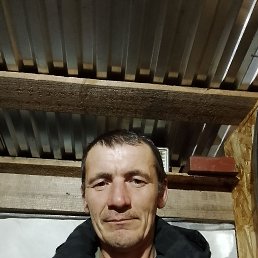 , 48, 