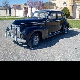 ���� ��������, ������, 87 ��� - ��������� 10 ���� 2024