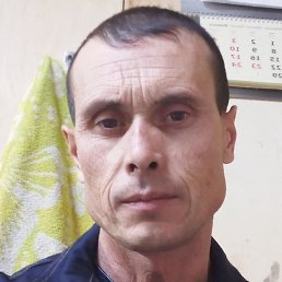 �������, ������, 46 ���