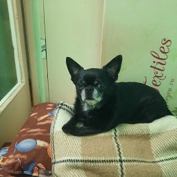 ���� ������ �������, �����-���������, 54 ���� - ��������� 6 ������ 2025