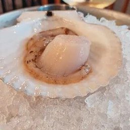 ���� ���������, ������, 48 ��� - ��������� 29 ������ 2023