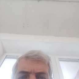 , 56, 