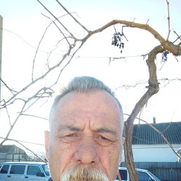 ���� �����, �����������, 64 ���� - ��������� 3 ������� 2024