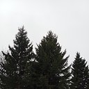 ���� �����, �����������, 49 ��� - ��������� 23 ����� 2026 � ������ ������ ��������