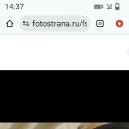 �����, ������, 55 ���