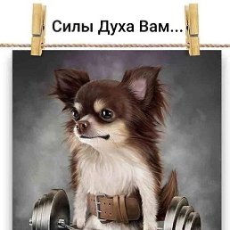 ���� ������, ������-��-����, 48 ��� - ��������� 18 ������� 2023