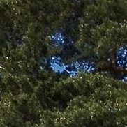 ����, 43 ����, �����������