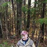 , 62 , -