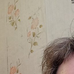 �����, �����������, 48 ���