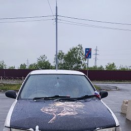 ���� ����, ����-���������, 18 ��� - ��������� 21 ���� 2026