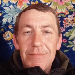 ������, ����������, 44 ����