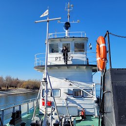 ��������, ������, 49 ���