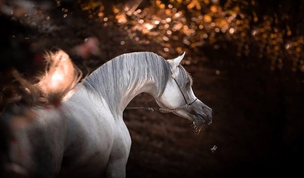  -   ! - 3  2025  13:53