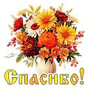 ���� Z�����, ����������� - ��������� 18 ������ 2025 � ������ ������ ��������