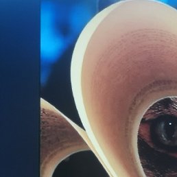 ���������, ������, 20 ���