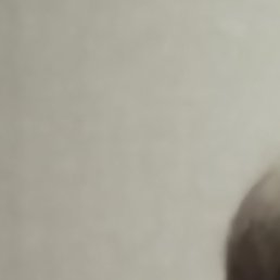 �������, ������, 48 ���