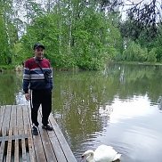 , 51 , 
