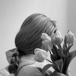 Soleil, ������, 35 ���