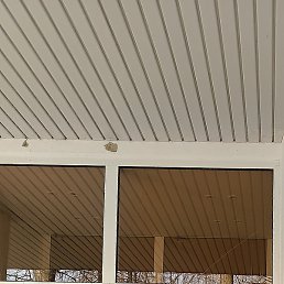 �������, ������, 56 ���