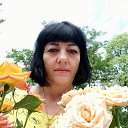 ���� �������, ����������, 61 ��� - ��������� 29 ������� 2024 � ������ ���� ����������