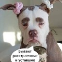 ���� �����, �����������, 33 ���� - ��������� 12 ��� 2025 � ������ ���� ����������