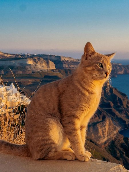 ������ �� ��������� ����� ���� ������ ����� � ��������� �������� - 4