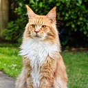 ���� S, ������ - ��������� 21 �������� 2024 � ������ ���� ����������