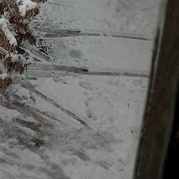 �����, ���������, 53 ����