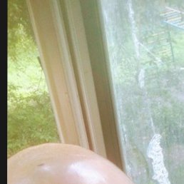 ���� ���������, �������, 40 ��� - ��������� 22 ������ 2024