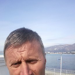 , 53 , 