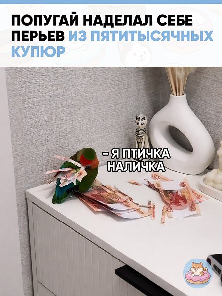 ������� ������� �������� ����� ������������ ����� �� ������ � ��������� ������� ������ � �����. ...