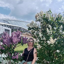 ����, �����