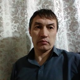 ���� ���������, ���������, 50 ��� - ��������� 24 ������ 2026