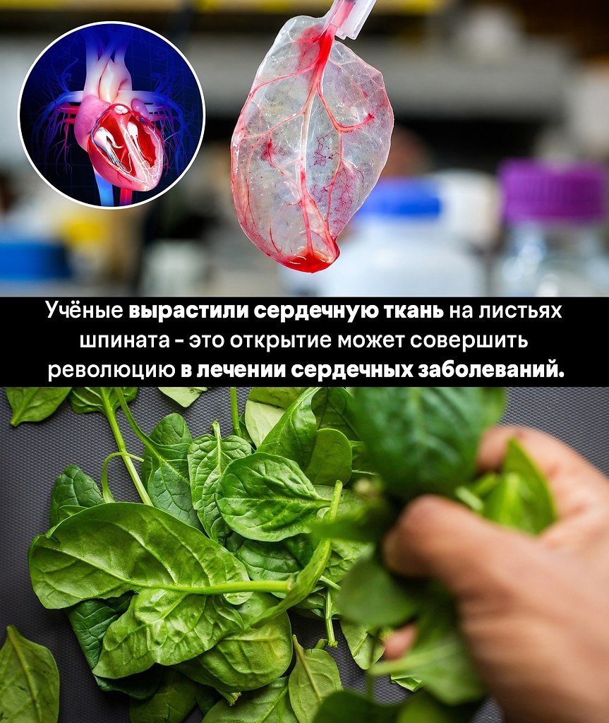 � �� ����� ��� ��������� ����� ������� ���������� �����������, �� ������ �������� �������, ��������� ... - 5