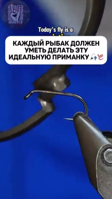         )
